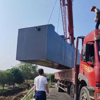 廣東長沙縣安沙鎮(zhèn)30m3/d地埋式一體化污水處理設(shè)備發(fā)貨